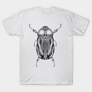 June Beetle Insect Bug Wiinjiig ᐐᓐᒌg Ojibwe Indigenous WAWEZHI CANADA T-Shirt